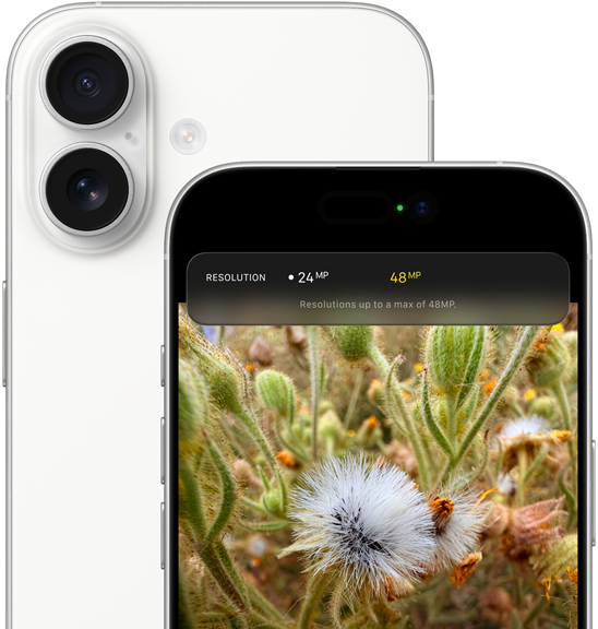 iPhone 17 i hvid vist bagfra med afrundede hjørner og Fusion-dobbeltkamerasystem i øverste venstre hjørne og forfra med Dynamic Island og afrundede hjørner